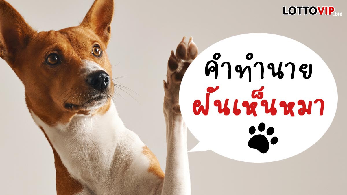 ฝันเห็นหมา