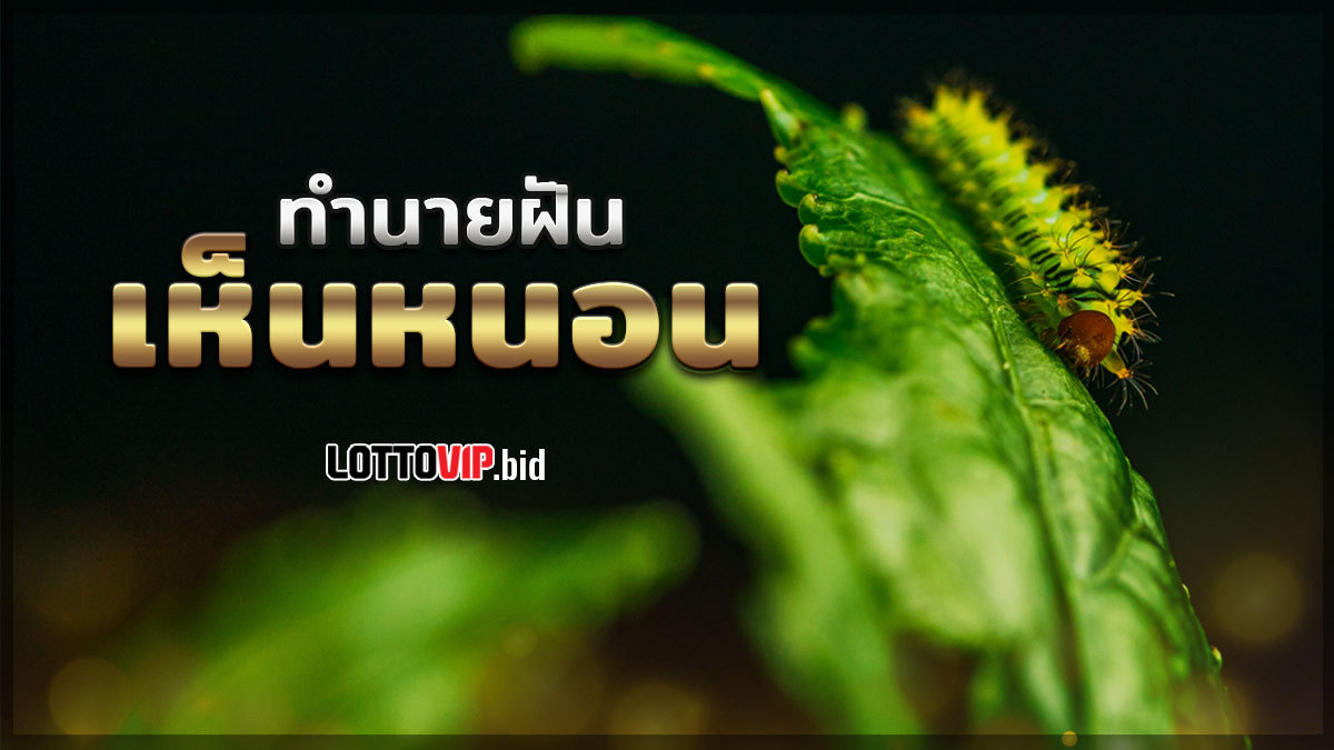 ฝันเห็นหนอน