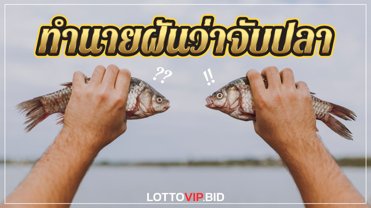 ฝันว่าจับปลา