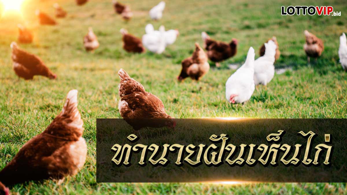ฝันเห็นไก่
