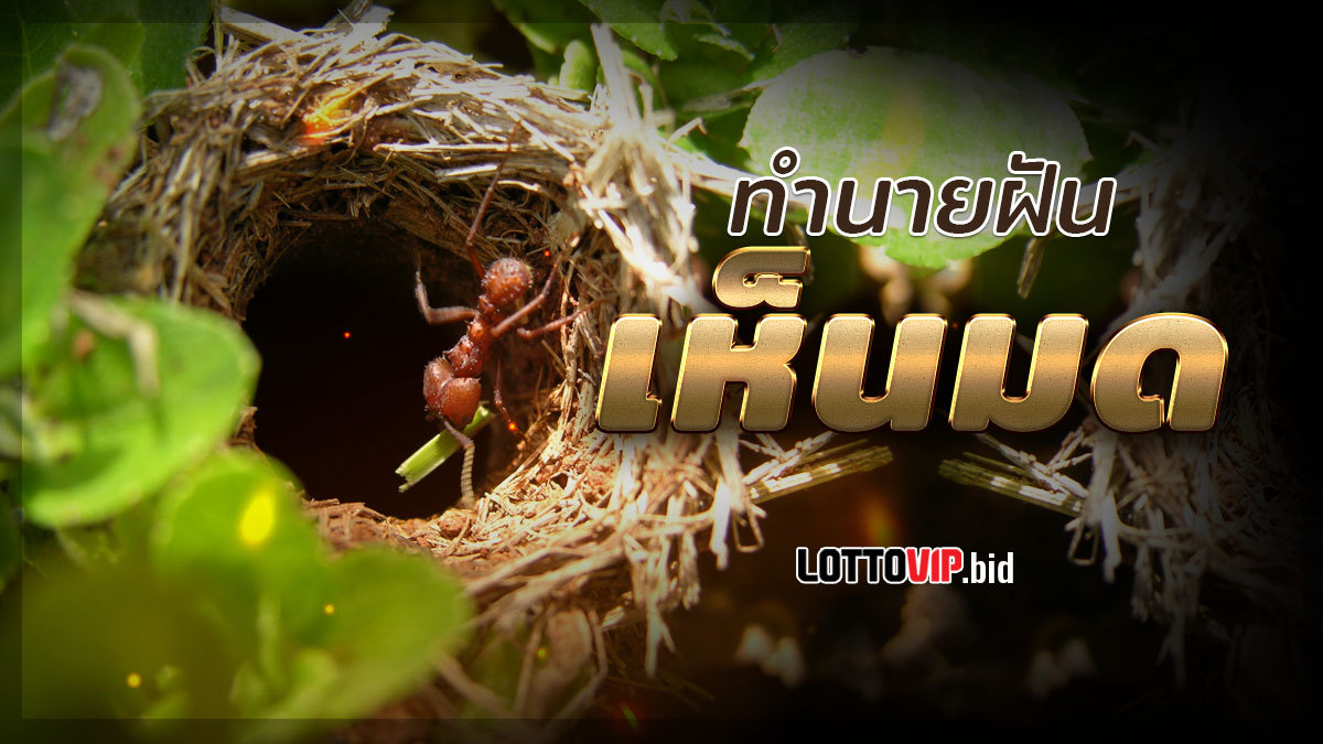 ฝันเห็นมด