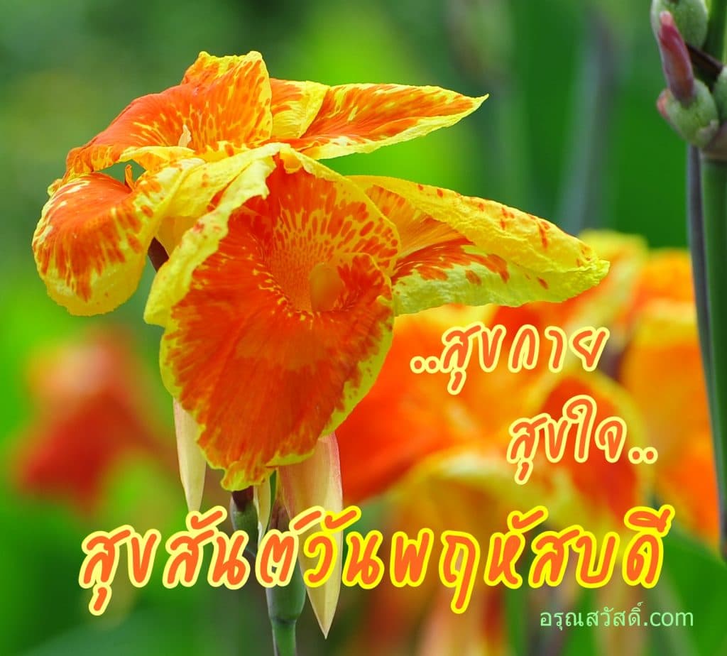 วันพฤหัสบดี