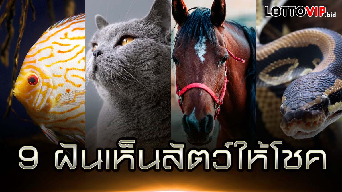 ฝันเห็นสัตว์