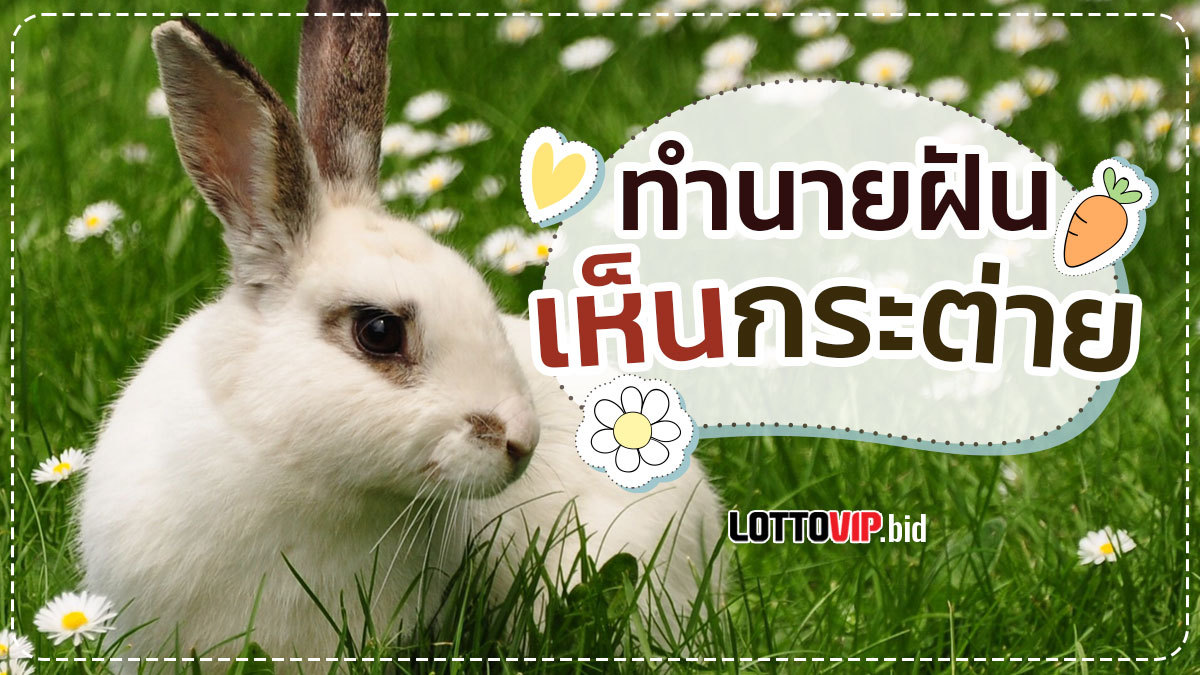 ฝันเห็นกระต่าย
