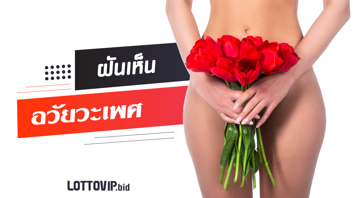 ฝันเห็นอวัยวะเพศ