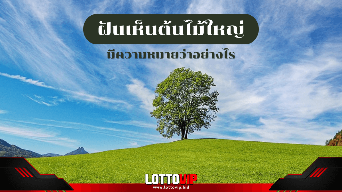 ฝันเห็นต้นไม้ใหญ่