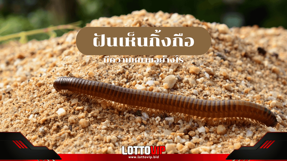 ฝันเห็นกิ้งกือ