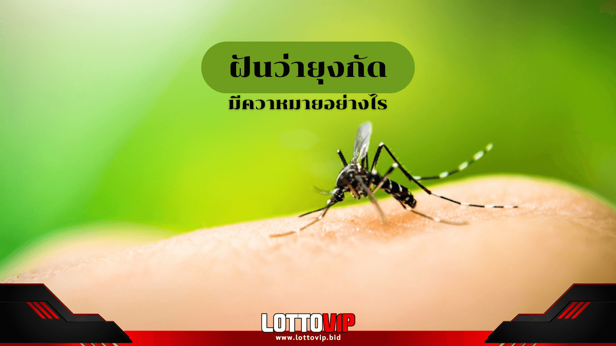 ฝันว่ายุงกัด