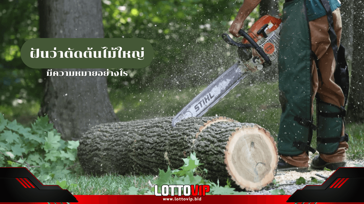 ฝันว่าตัดต้นไม้ใหญ่