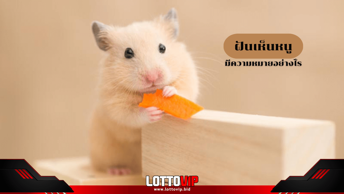 ฝันเห็นหนู