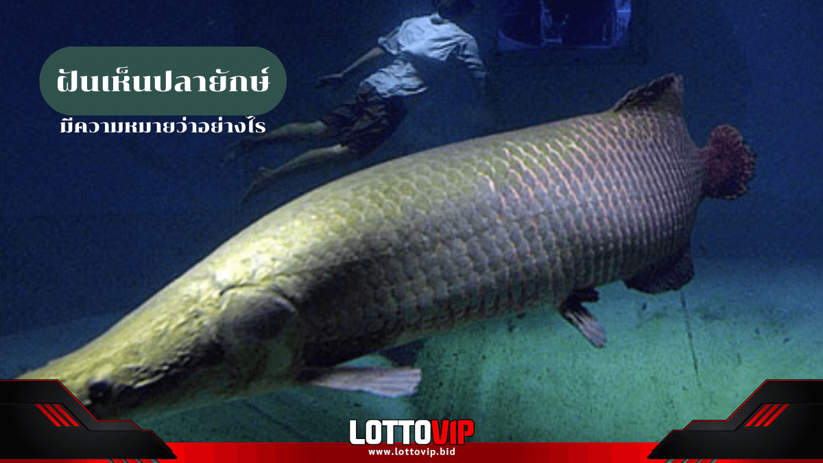 ฝันเห็นปลายักษ์