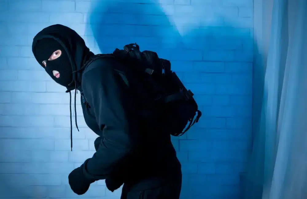 โจรขโมยของ 