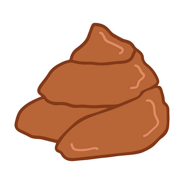 อุจจาระ