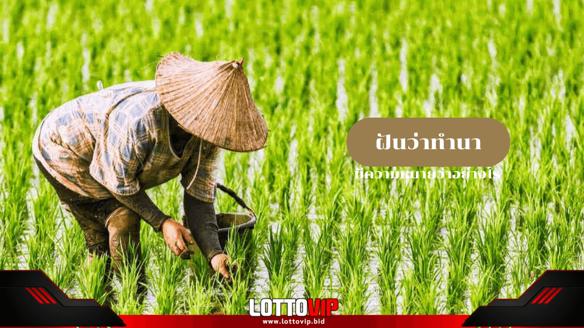 ฝันว่าทำนา